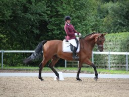 IMG_0468_web